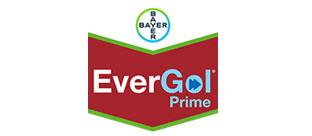 Bayc Evergol Prime