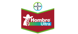 Bayc Hombre Ultra