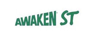 Llan Awaken ST