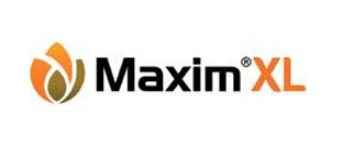 Syng Maxim XL