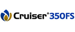 Cruiser 350
