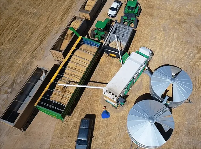 Seed Grading